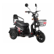 Triciclo Eletrico Adulto Scooter Passeio Mobilidade - Family 500w