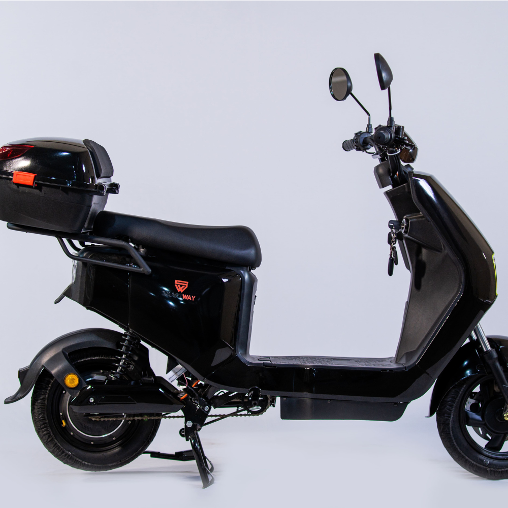 Bicicleta Elétrica Wasp 800w Adulto Sem CNH Scooter - SMARTWAY