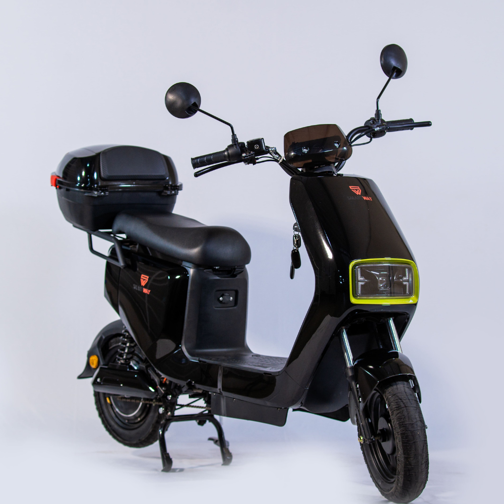 Bicicleta Elétrica Wasp 800w Adulto Sem CNH Scooter - SMARTWAY