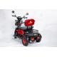 Triciclo Elétrico Power 600w Cadeira Recarregável Adulto Idoso
