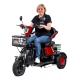Triciclo Elétrico Power 600w Cadeira Recarregável Adulto Idoso