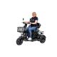 Triciclo Elétrico Power 600w Cadeira Recarregável Adulto Idoso